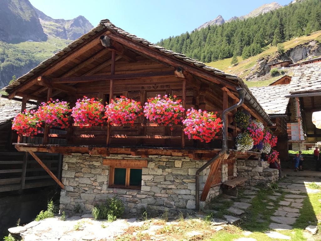 alpenzu