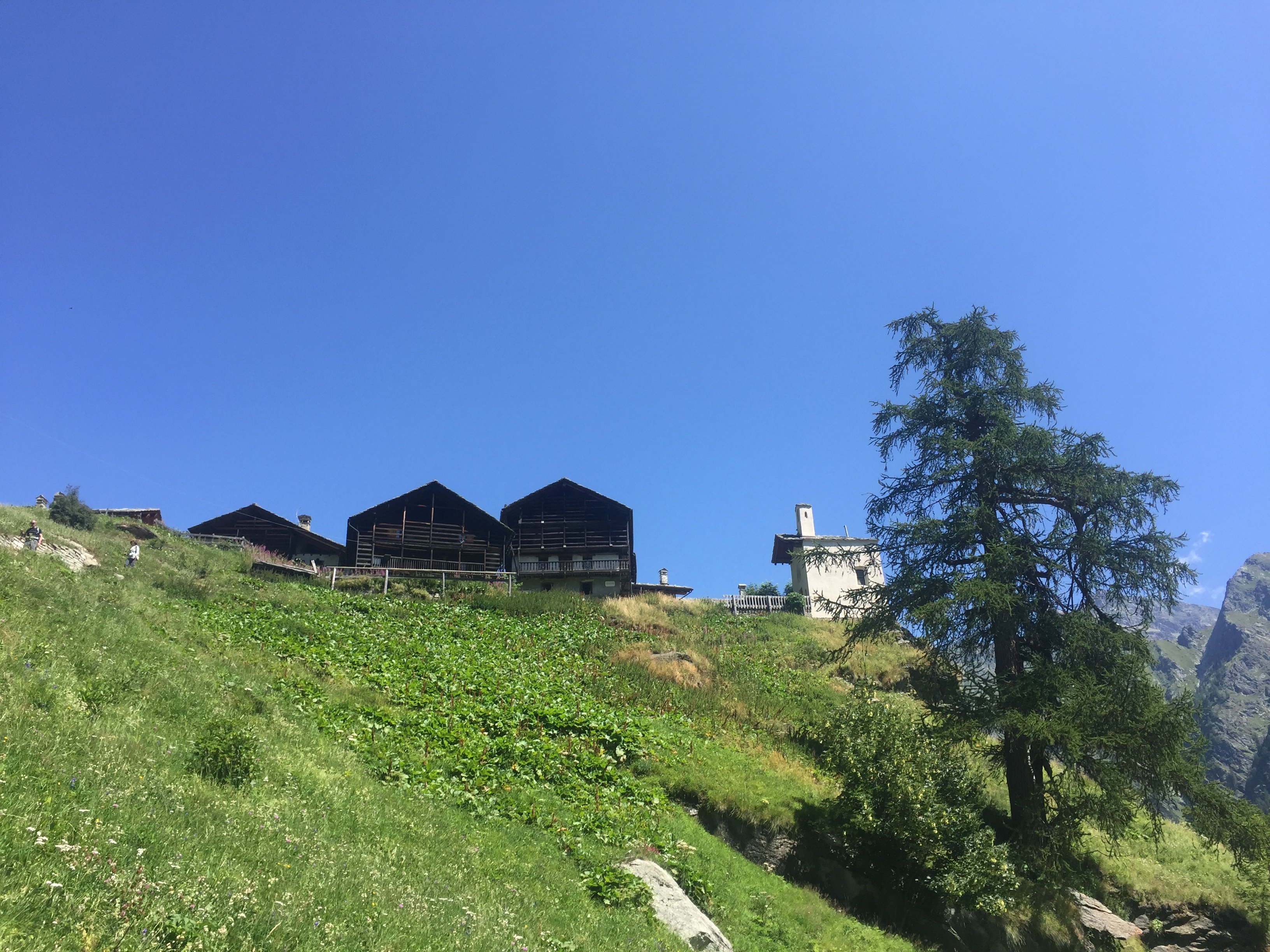 Durata passeggiata rifugio Alpenzu
