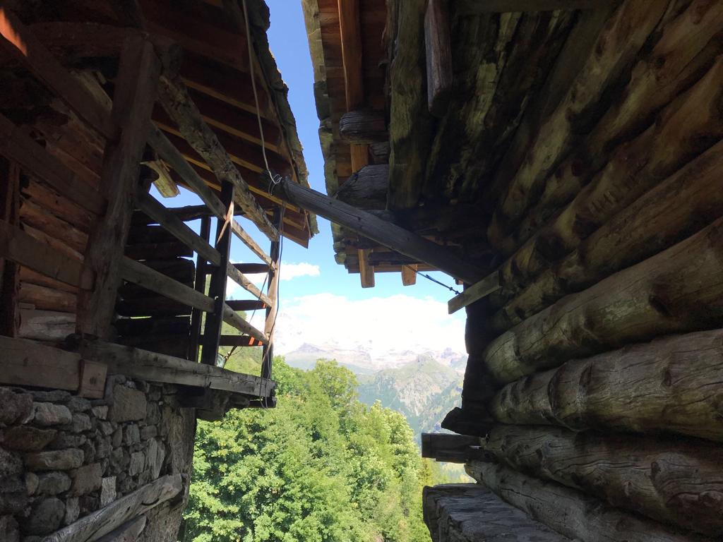 Passeggiata rifugio Alpenzu