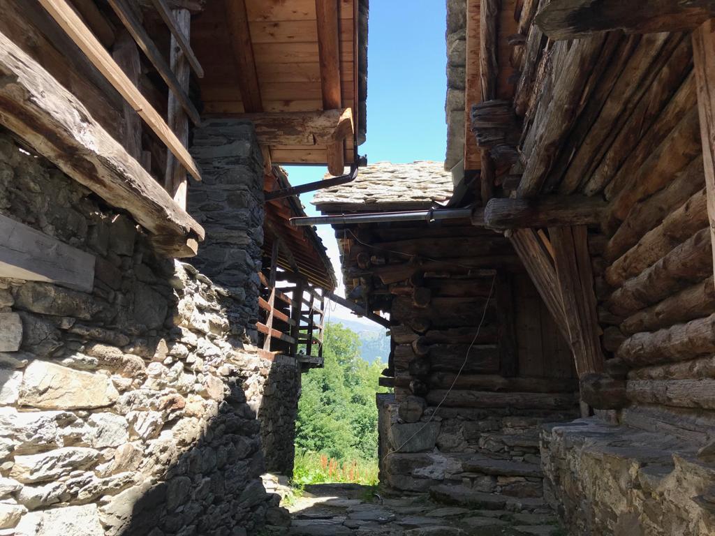 Passeggiate semplici gressoney