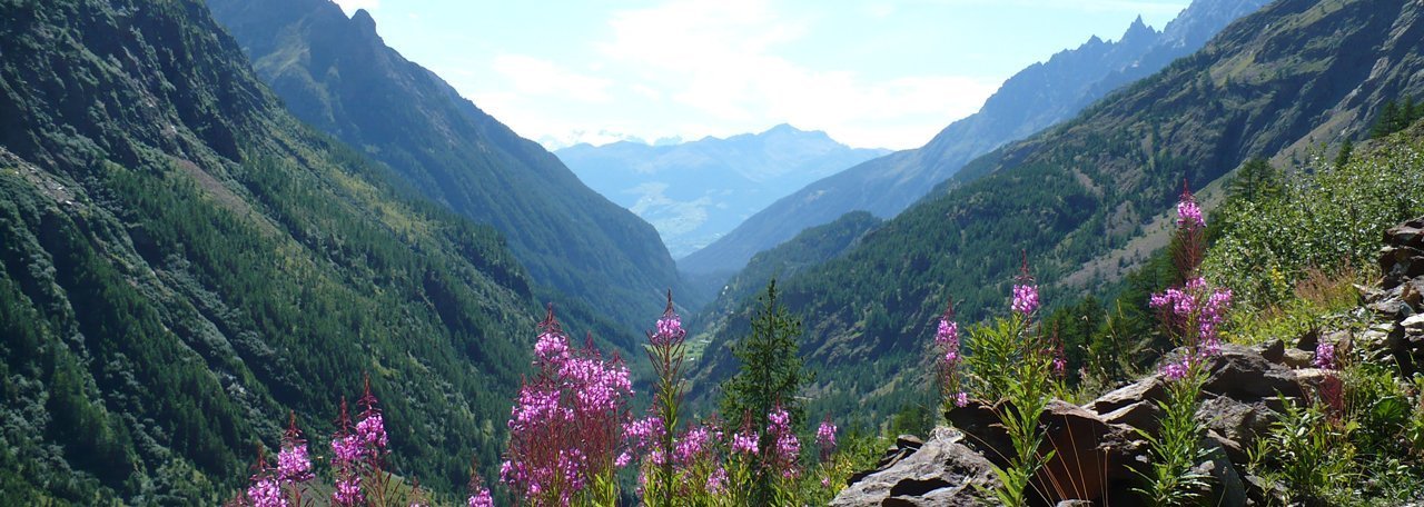 Valpilline